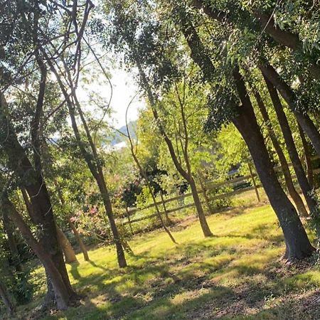 Chalet En Pleine Nature La Roquette-sur-Siagne المظهر الخارجي الصورة