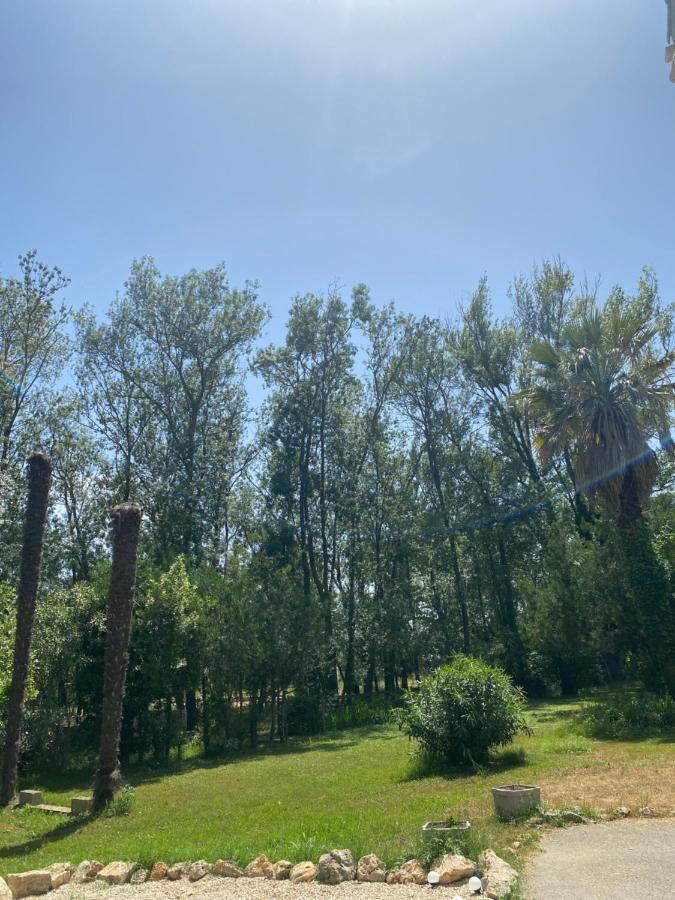 Chalet En Pleine Nature La Roquette-sur-Siagne المظهر الخارجي الصورة